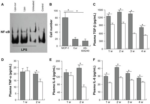 Figure 5 Lipo-cur inhibits the activation of macrophages and downregulates the serum levels of pro-inflammatory cytokines. The inhibitory effect of Curcumin on activation of macrophages was detected first. (A) Curcumin inhibited the activity of NF-κB of macrophages. (B) Curcumin blocked the migration of macrophages (MCP-1, Cur: Cur+MCP-1, AS605240: AS605240+MCP-1). Then, the serum levels of both the Lipo and Lipo-cur group for IL-6, IL-8, TNF-α, and TGF-β cytokine concentration were measured at the first month of RP, mice in each group were bled for serum at the end of week 1, 2, 3, and 4 after being treated with Lipo or Lipo-cur. (C) The level of TGF-β from the Lipo-cur treatment group and the Lipo group. (D) The level of TNF-α from the Lipo-cur treatment group and the Lipo group. (E) The level of IL-8 from the Lipo-cur treatment group and the Lipo group. (F) The level of IL-6 from the Lipo-cur treatment group and the Lipo group.Notes: Data are mean ± standard error of the mean; *denotes P < 0.05 between groups.Abbreviations: Cur, curcumin; IL, interleukin; Lipo, empty liposome; Lipo-cur, liposomal curcumin; MCP, monocyte chemotactic protein; NF, nuclear factor; TGF, transforming growth factor; TNF, tumor necrosis factor.