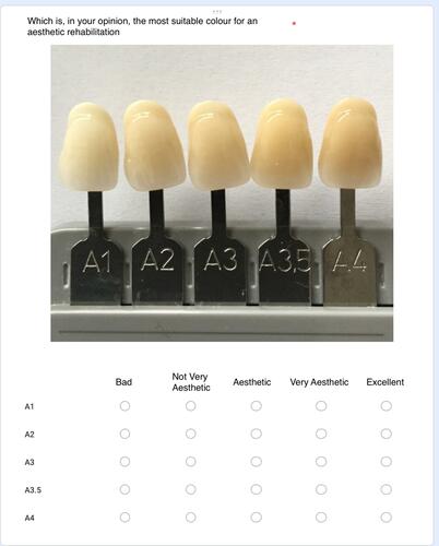 Figure 2 Colored templates for choosing the aesthetical rate.