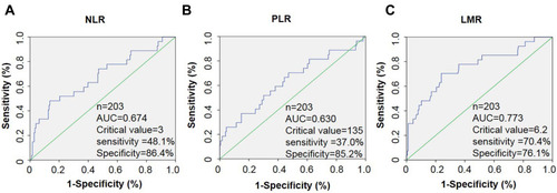 Figure 2 The ROC curves of NLR, PLR, and LMR. (A) The optimal cutoff value was 3.0 for the NLR (sensitivity 48.1%, specificity 86.4%, AUC 0.674). (B) The optimal cutoff value was 135.0 for the PLR (sensitivity 37.0%, specificity 85.2%, AUC 0.630). (C) The optimal cutoff value was 6.2 for the LMR (sensitivity 70.4%, specificity 76.1%, AUC 0.773).