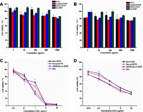 Figure 5 A and B, Cell cytotoxicity of blank NCPE (NCPE, crosslinked NCPE and cRGD-ss-NCPE) and free cRGD solution after 24 hours incubation using B16F10 cells (A) and HeLa cells (C and D) Cell cytotoxicity of Dox-loaded NCPE (Dox-NCPE, Dox-ss-NCPE and cRGD-Dox-ss-NCPE) and free Dox after 24 hours incubation using B16F10cells (C) and HeLa cells (D).