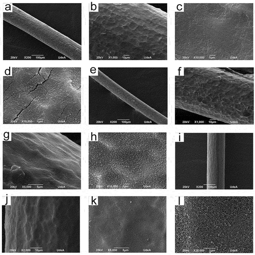 Figure 1. SEM micrographs of anodized titanium wires. S1 (a)-(c), S2 (d), S3 (e)-(h), S4(i)-(l).