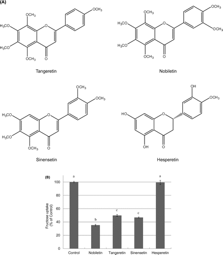 Figure 4. Chemical structures of phytochemicals featuring a nobiletin-like structure (A) and the effect of these phytochemicals on fructose uptake by Caco-2 cells (B). Fructose uptake was measured in the absence or presence of 25 μM nobiletin, tangeretin, sinensetin, or hesperetin at 37 °C for 10 min as described in the Materials and Methods. The values shown are means ± SEM (n = 3), and the values indicated by different letters are significantly different from each other (Tukey’s test; p < 0.01).