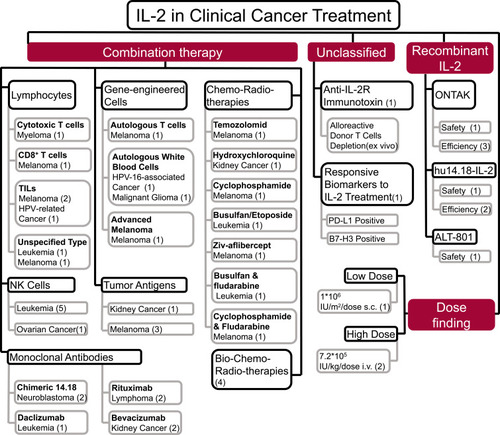 Figure 5 Application of IL-2 in 52 clinical trials for cancer therapy. IL-2 has been used in combination with lymphocytes, NK cells, genetically engineered cells, monoclonal antibodies, and tumor antigens as well as with radiotherapy, chemotherapy, and chemoradiotherapy. Dose finding, selected studies, and effects of recombinant IL-2 are shown. Numbers in parentheses are the number of clinical trials.