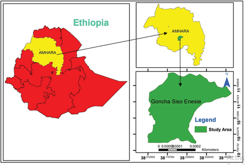 Figure 4. Location map of the study area.