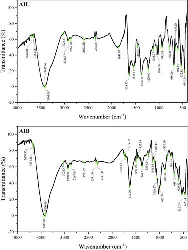 Figure 6. FTIR spectra of AgNPs synthesized from A. indica leaves (AIL) and Bark (AIB).