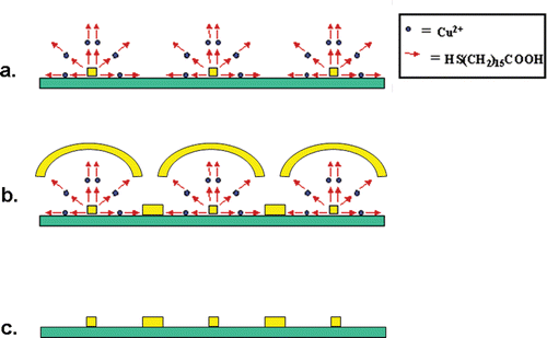 Figure 6. Illustration of the second metal-deposition step and removal of the organic structures: (a) The organic multilayer structure on the original gold-dot array as shown in figure 5, (b) gold (with a 2 nm Ti precursor layer) is evaporated on top of the organic layers, and into the gaps between them. In these gaps the gold is deposited directly onto the SiO2/Si surface, (c) the organic layers and the gold on top of it are removed in an organic solvent Citation14, to leave only the original gold structures and the new ‘daughter’ gold structures on the surface. The squares represent the original gold dot structures and the rectangles represent the star-shaped new gold structures as shown in figure 7.