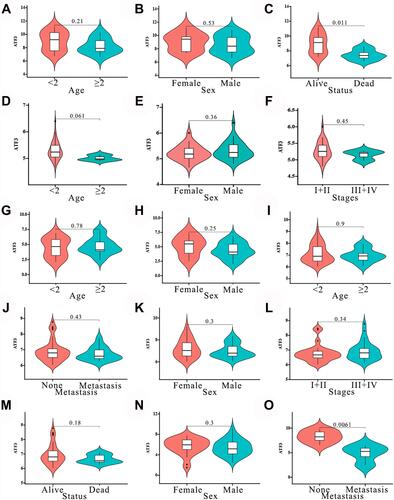 Figure 4 Expression of ATF3 with different clinical parameters. (A–C) E-MEXP-1851; (D–F) GSE75271; (G and H) GSE81928; (I–M) GSE131329; (N) GSE132039; (O) GSE151347.