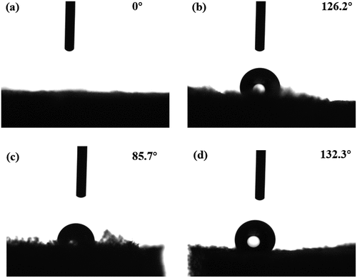 Figure 3. Contact angle images of pure and compound CNF aerogels.