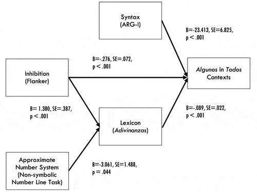 Figure 10. Syntax, lexicon, and inhibition predict algunos interpretations in contexts where todos (“all”) would be correct; inhibition and approximate number predict lexicon: Fisher’s C = 2.783, p = .595, df = 4, AIC = 18.783. (Source: Grinstead et al. Citation2022, Figure 8, Reprinted by Permission of SAGE Publications.)