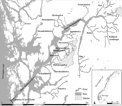 Figure 1. Map of the Hardangerfjord and all anadromous rivers in the study. Note the arrow from which the distance from the fjord outlet to the river was measured.