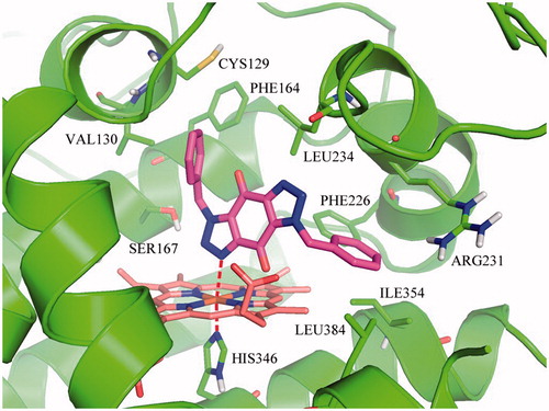 Figure 2. Predicted binding model of compound Roxyl-WL in the active pocket of IDO1. Compound Roxyl-WL is colored in magenta, Fe(II) is in brown and residues of IDO1 are in green. Coordination bonds are shown in red dashed lines.