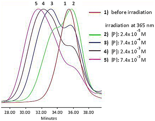 Figure 5. SEC data of APE-PIB-APE-1 recorded by RI detector; before irradiation (1) and after irradiation at 365 nm for 24 h with different precursor polymer concentrations: [P]: 2.4 × 10−5 M (2), 7.4 × 10−4 M (3), 2.4 × 10−3 M (4), 7.4 × 10−3 M (5).