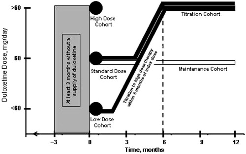 Figure 2.  Study design showing the five cohorts: three groups identified by the initial duloxetine dose prescribed (High, Recommended, and Low Initial Dose Groups); a group in which the duloxetine dose was increased to >60 mg/day at some point within 6 months of the index dose (Titration Cohort); and a group that remained on a duloxetine dose of 60 mg/day throughout the 12-month study.
