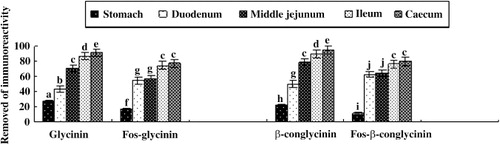 Figure 3. The disappearance rate of immunoreactive glycinin, β-conglycinin and their glycosylated forms in the digestive tract of piglets.