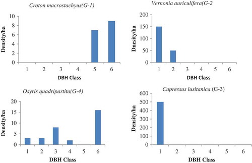 Figure 2. Population structure of woody species in adjacent open grazing land of Wega guanaesa site