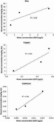 Figure 7. Correlations between shellfish metal concentrations (2010–2013: median) and calculated labile water concentrations for three study sites in the Waitemata Harbour.