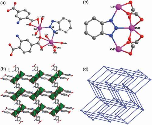 Figure 1. (a) The surroundings of Cd(II) ions view in complex 1 (Symmetry codes: a = −0.5 + x, −0.5 + y, z; b = 1−x, y, 1.5−z). (b) The trinuclear cluster building subunit of [Cd3(btz)(COO)4] for the complex 1. (c) The 1’s 3D skeleton. (d) The schematic diagram of the six-linked pcu net of topology for the 1