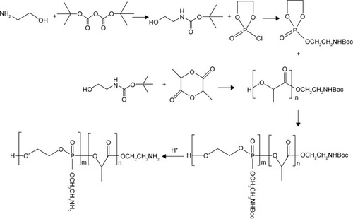 Figure 2 Synthesis procedure of PAEEP-PLLA copolymer.Abbreviation: PAEEP-PLA, poly(aminoethyl ethylene phosphate)/poly(L-lactide).
