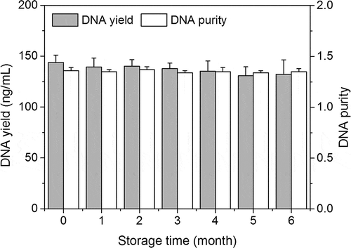 Figure 1. DNA yield and purity vary during the storage of UHT milk.Figura 1. El rendimiento y la pureza del ADN varían durante el almacenamiento de la leche UHT