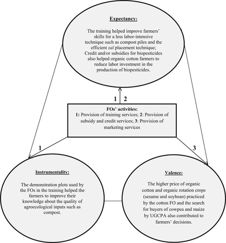 Figure 2. The influence of FOs’ activities on the main drivers of farmers’ agroecological innovations decisions. Source: Own analysis.