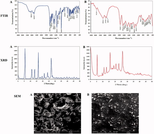 Figure 3. FTIR spectroscopy analysis, XRD spectrum patterns, and SEM image analysis of (A) original pure chrysin and (B) modified nanochrysin loaded in PLGA-PVA.