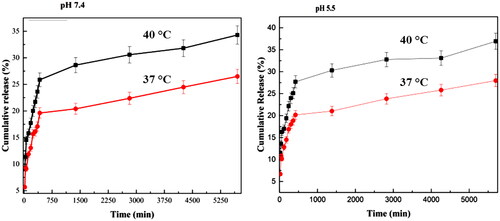 Figure 9. In-vitro drug release from FU-GO/NHs at different pH (5.5 and 7.4) and temperature values (37 and 40 °C) about four days.