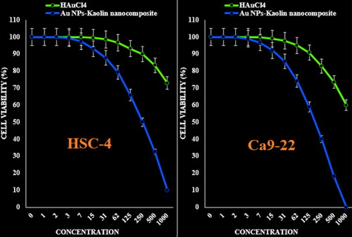 Figure 8. The anti-human oral squamous cell carcinoma properties (cell viability (%)) of HAuCl4 and Kaolin@extract/Au nanocomposite (concentrations of 0–1000 µg/mL) against HSC-4 and Ca9-22 cell lines.