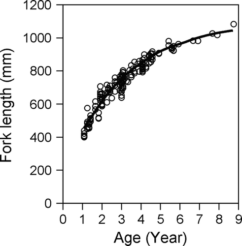 Fig. 6  Relationship between age and fork length. Fitted curve indicates the von Bertalanffy growth curve for Seriola lalandi.