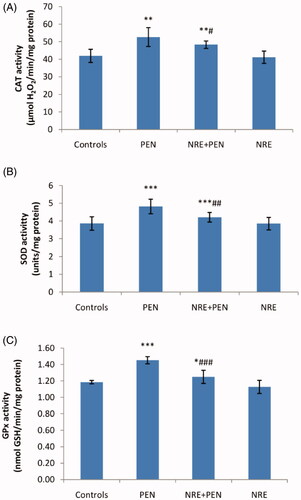 Figure 2. Antioxidant enzyme activities (A) CAT, (B) SOD and (C) GPx in kidney of control and treated rats with penconazole (PEN), N. retusa aqueous extract along with penconazole (NRE + PEN) and N. retusa aqueous extract (NRE). Values are means ± SD for six rats in each group. PEN and NRE + PEN groups vs control group: *p < 0.05; **p < 0.01; ***p < 0.001. NRE + PEN group vs PEN group: #p < 0.05; ##p < 0.01; ###p < 0.001