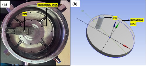 Figure 2. (a) Experimental setup of pin and disk; (b) 3D model of the pin and disk.