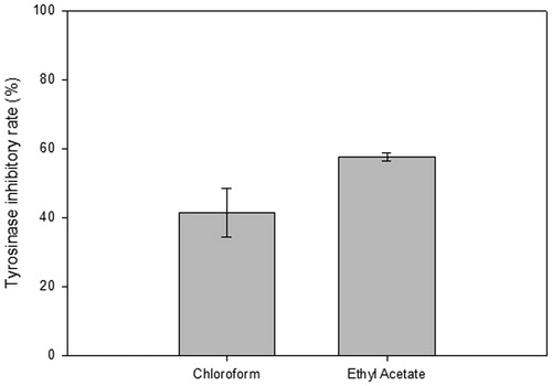 Figure 1. The in vitro tyrosinase inhibitory rate on two partitioned fractions from mycelial extract of G. weberianum. Chloroform (CF) and ethyl acetate extracts (EA) obtained from 7-day mycelium cultures (x-axis) were tested for potential inhibitory effects in an in vitro tyrosinase assay. The inhibition rate was plotted as a percentage (y-axis).