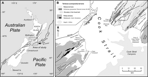 Figure 1 A, Map showing present-day plate tectonic setting of New Zealand on the obliquely convergent boundary between the Pacific and Australian plates with plate motion vector and rate in area of Cook Strait. Area of this study is highlighted by dark grey boxed outline. NIDFB: North Island Dextral Fault Belt; MFS: Marlborough Fault System. B, Map of central New Zealand bordering Cook Strait showing major faults (names in bold) in southern North Island and northeast South Island, distribution of Torlesse terrane greywacke with main areas of schist-semischist, metabasalt-chert-limestone, mafic dykes (labelled) (from Begg & Mazengarb Citation1996; Begg & Johnston Citation2000; Rattenbury et al. Citation2006 with modification of Rimutaka belt-Pahau terrane boundary in southern North Island), and locations mentioned in the text.