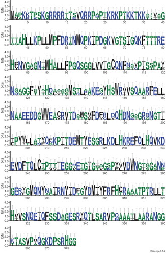 Fig. 5. Sequence motifs of the capsid proteins of HOV-148, HOV-235 and AcrBV2 viruses