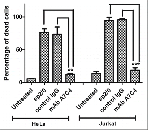 Figure 2. Neutralization of abrin cytotoxicity by mAb A7C4. HeLa / Jurkat cells were treated for 36 hr with abrin alone, abrin with mAb A7C4, or abrin with a control antibody and stained with propidium iodide as described in Materials and Methods. The apoptotic population was then measured using FACScan. Each bar represents the mean ±SEM.Statistical analysis was carried out using One way ANOVA followed by Turkey's multiple comparison test (*p < 0.05).