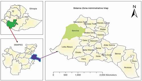 Figure 1. Boricha district map, Sidama, Southern Ethiopia, Ethiopia, 2017.