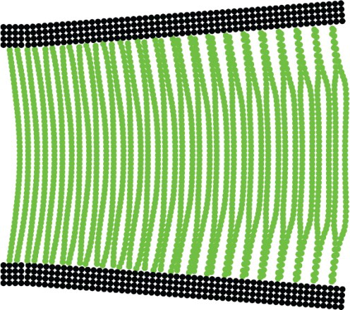 Figure 4. Initiating breakup of the fluid structure in the expanding section of the pipe (R=100)