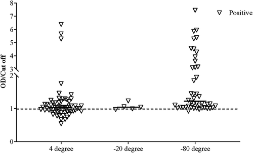 Figure 3. Detection of positives samples having Ct less than 35 and stored in various conditions using the ELISA.