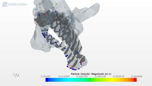 Figure 12. Snapshot taken from above of the particles deposited in the nasal cavity for geometry 4.