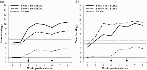 Figure 3. Mean titres (log2) of sera collected weekly after infection evaluated by fiber-based ELISAs (continuous and dashed lines) and VN tests (dotted lines). Results are displayed for birds infected with (a) CELO (n = 8) and (b) KR5 (n = 10). ELISA titres > 6.76 log2 (FAdV-1 fib-1), > 6.69 log2 (FAdV-1 fib-2), > 5.96 log2 (FAdV-4 fib-1), > 6.57 log2 (FAdV-4 fib-2) and VN titres > 3 log2 are considered positive. Horizontal lines represent the cut-off values for the VN tests (dotted lines) and for the fiber-based ELISAs (continuous and dashed lines). Arrows indicate booster inoculation.