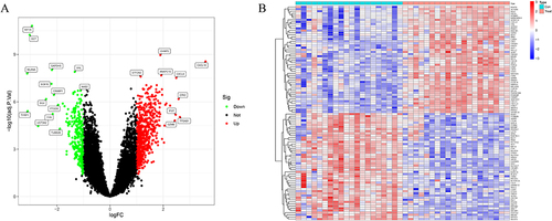 Figure 1 Differentially expressed genes in normal and vitiligo samples. (A) Volcano plot of the differentially expressed genes. The red dots represent the significantly upregulated genes and the green dots represent the significantly downregulated genes. (B) Heatmap of the DEGs.