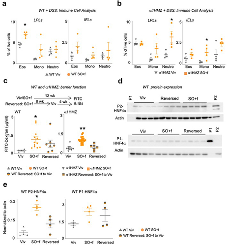 Figure 4. A diet high in LA increases immune dysfunction and decreases barrier function in WT and α1HMZ mice.