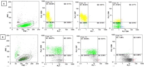 Figure 4. Expression analysis of surface markers CD3, CD7, and CD8 using flow cytometry. (A) Distribution of cells by size and granularity. CD expression in the group transduced by the backbone of the vector. (B) Distribution of cells by size and Granularity. CD expression in the group transduced by the miR-146a.