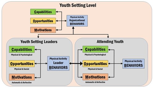 Figure 1. Multi-level COM-B theoretical framework for physical activity promotion in youth settings.Note: Capability, opportunity, and motivation can be seen as setting-level features for the organization, which then influence the levels of leaders and attending youth. The COM-B components are hypothesized to be multidimensional composites within levels of setting, leader, and youth, so the plural form of each is used. Along with organizational influences, physical activity leader behaviors serve as key determinants of the physical activity levels of attending youth. The physical activity behaviors of attending youth will be the result of their own capabilities, opportunities, and motivations, where these components have been influenced by the behaviors of adult gatekeepers within the setting. Many relationships between COM-B components are reciprocal: Behaviors influence capabilities, opportunities, and motivations, and the COM-B components of youth have influence on the organization and youth setting physical activity leader behaviors.