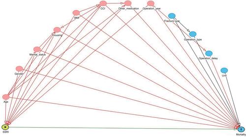 Figure S1 Directed acyclic graph of the possible relationship between important covariates and mortality in hip fracture patients.Abbreviations: SSRI, selective serotonin reuptake inhibitor; CCI, Charlson Comorbidity Index.