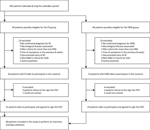 Figure 1 Stratified sample for functional seizures and functional movement disorder groups.