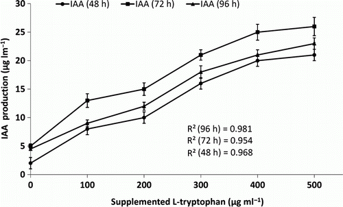 Figure 5.  Graph showing the pattern of increase in IAA production with increase in the concentration of Tryptophan in the growth medium by OG isolate.