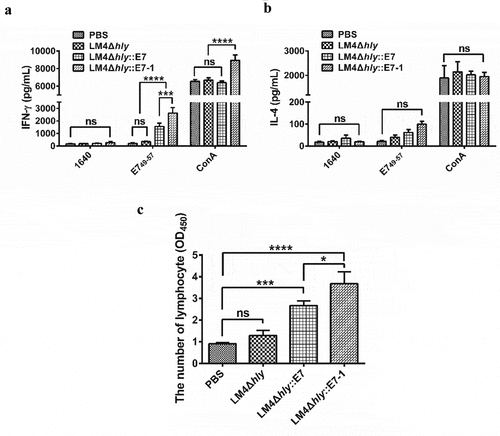 Figure 4. Enhanced stronger Th1-type immune response elicited with E7 Codon-optimization