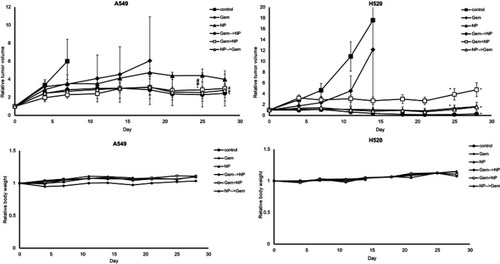 Figure 7 Growth inhibition assays. The GEM→NP sequence had the significant inhibitory effect upon tumor growth in both groups of A549- and H520-bearing mice. (A) In the case of A549, the RTV of drug combinations were suppressed more strongly than that of single agents. (B) In the case of H520, NP singe and NP→GEM gave similar inhibition and suppressed tumor growth more strongly than GEM+NP and GEM. There was no evaluation of RBW which reflects toxicity effect in all groups both of tumor-bearing mice. *P<0.05 compared with control; #not significant.