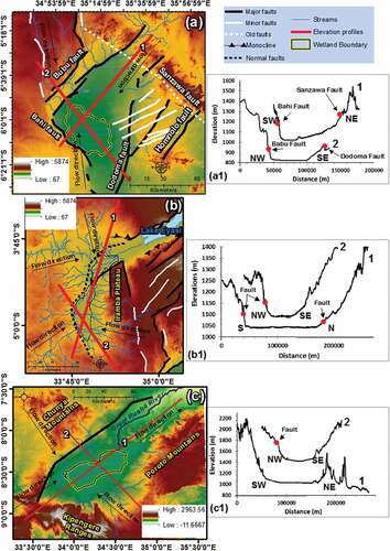 Figure 5. The topography and fault lines around (a) Bahi, (b) Wembere, and (c) Usangu wetlands. Graphs (a1) to (c1) show the elevation profiles of lines 1 and 2 in (a) to (c1) respectively.