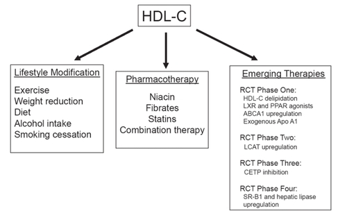 Figure 3 Approaches to enhance HDL-C levels and activity.
